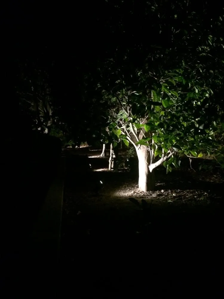 Slide of Local Electrical & Lighting