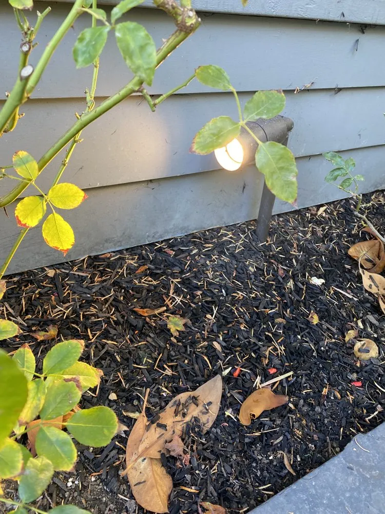 Slide of Local Electricians