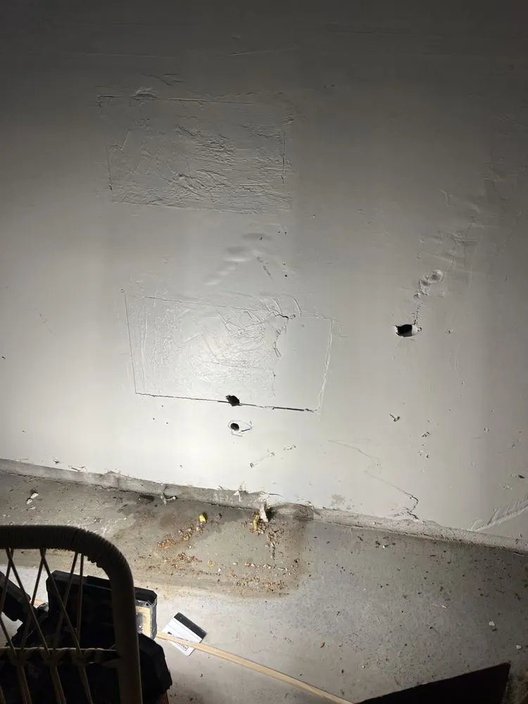 Slide of Local Leo’s Skilled Services