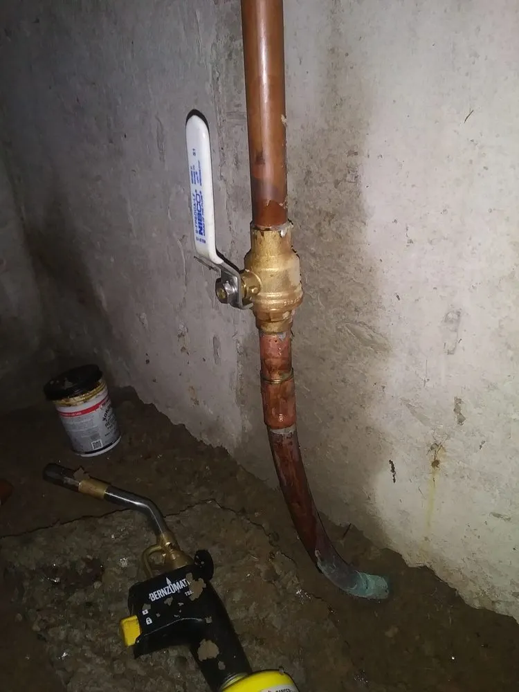 Slide of Local Leo’s Skilled Services