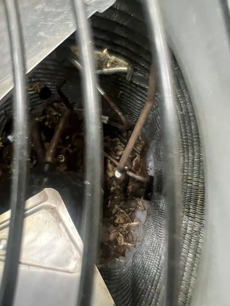 Slide of Local Leo’s Skilled Services