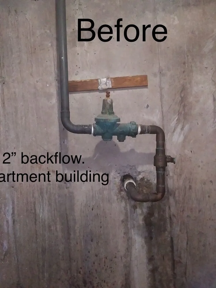 Slide of Local Leo’s Skilled Services