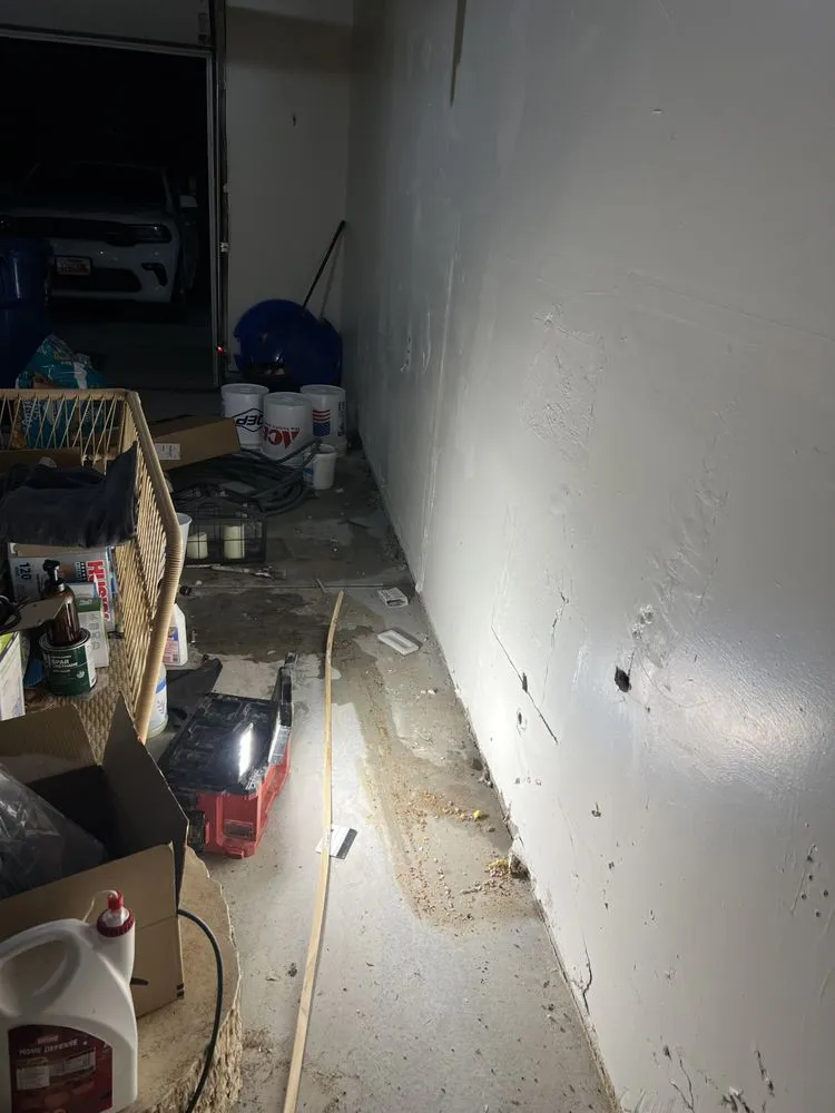 Slide of Local Leo’s Skilled Services