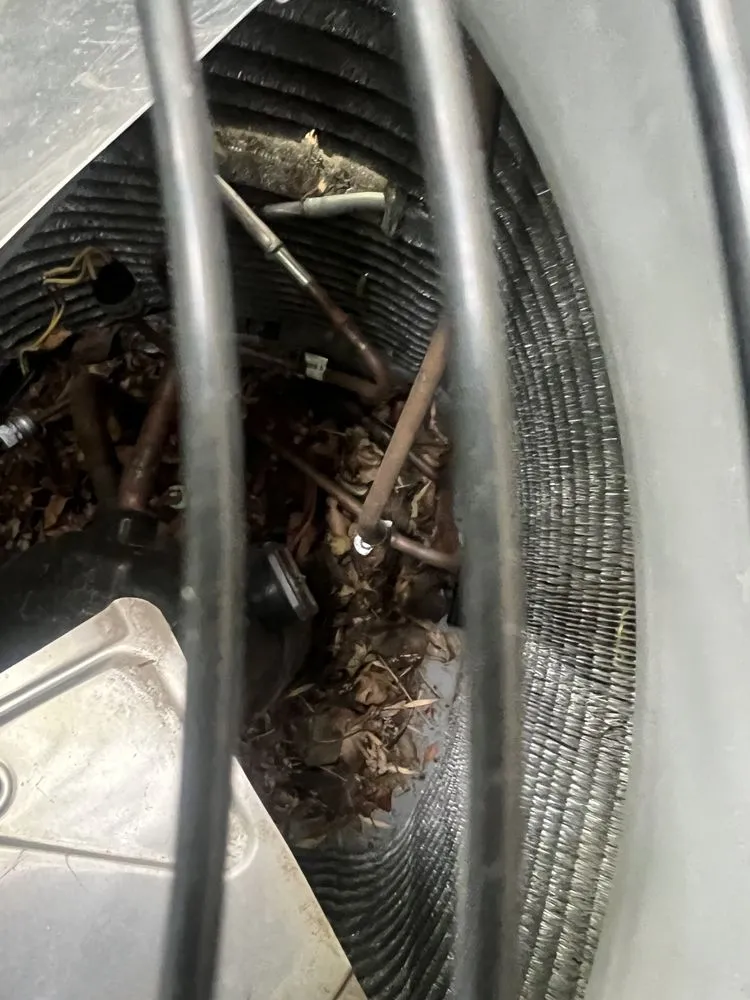 Slide of Local Leo’s Skilled Services