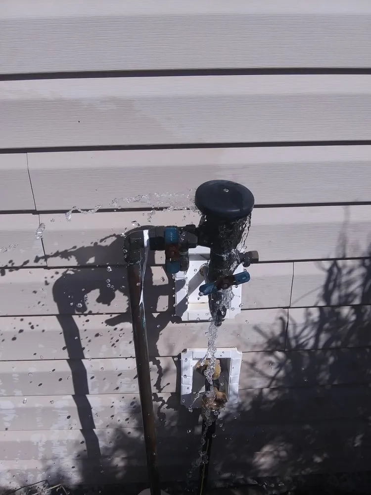 Slide of Local Leo’s Skilled Services