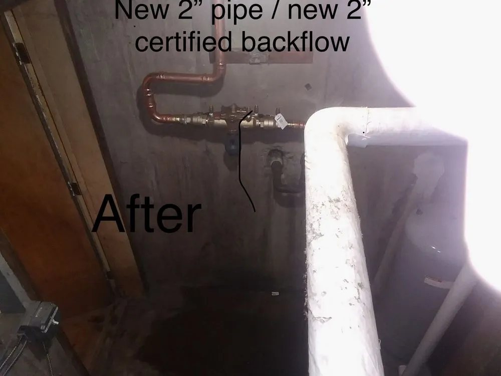 Slide of Local Leo’s Skilled Services