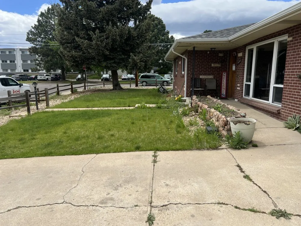 Slide of Local Leo’s Skilled Services