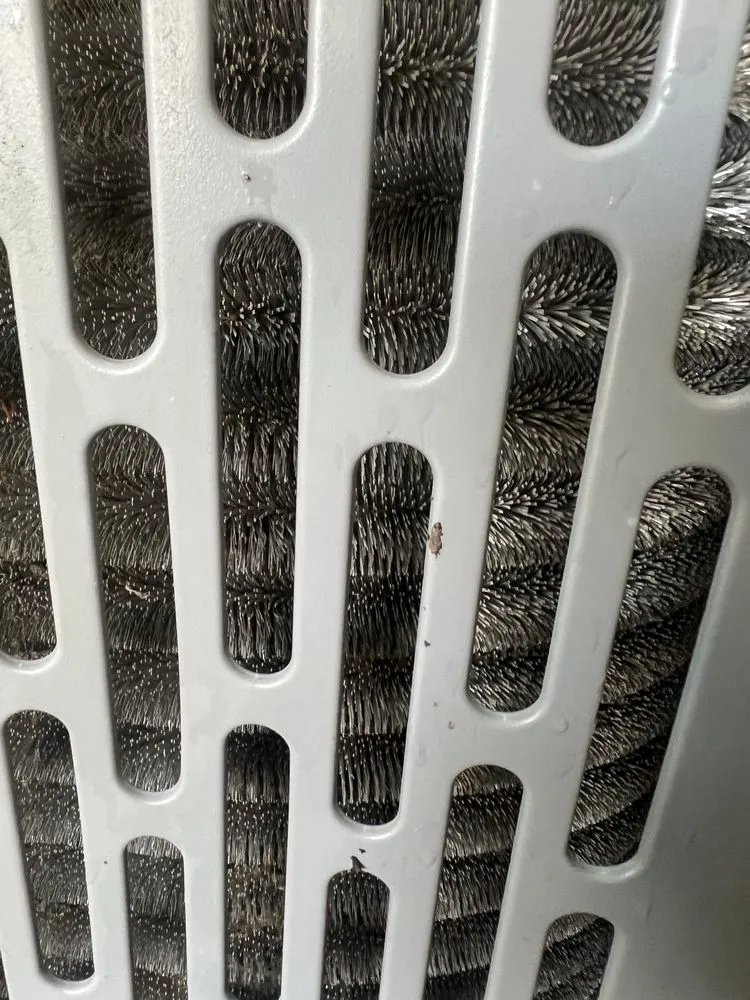 Slide of Local Leo’s Skilled Services