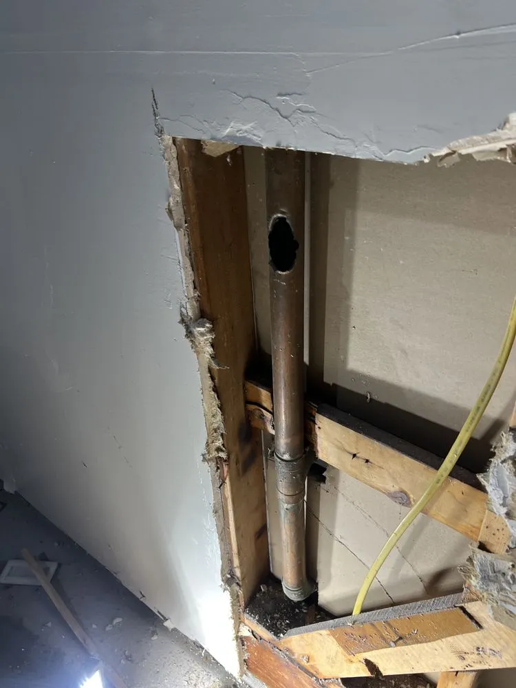 Slide of Local Leo’s Skilled Services