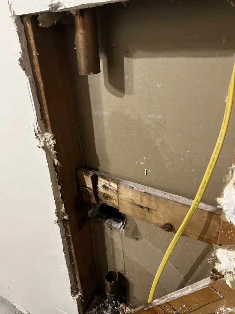 Slide of Local Leo’s Skilled Services