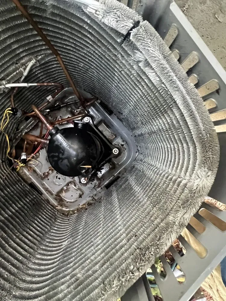 Slide of Local Leo’s Skilled Services