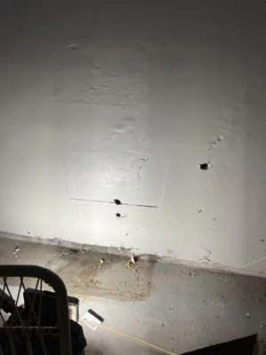 Local Leo’s Skilled Services Logo