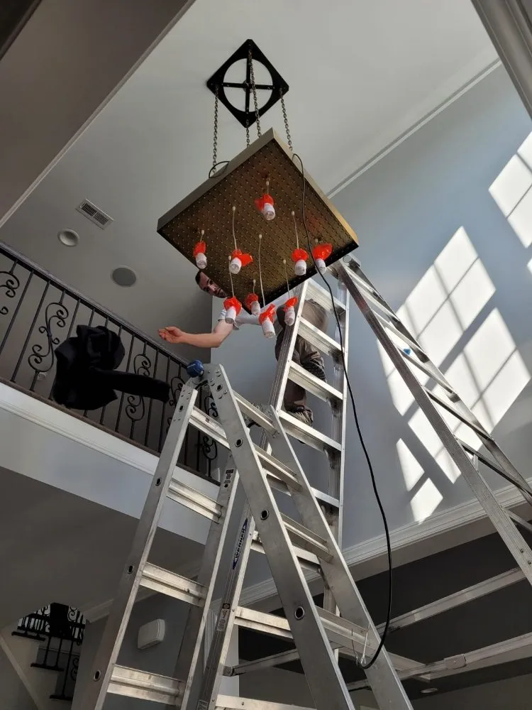 Certified outlet and switch repair service in ,  - LoDi Handyman Pro