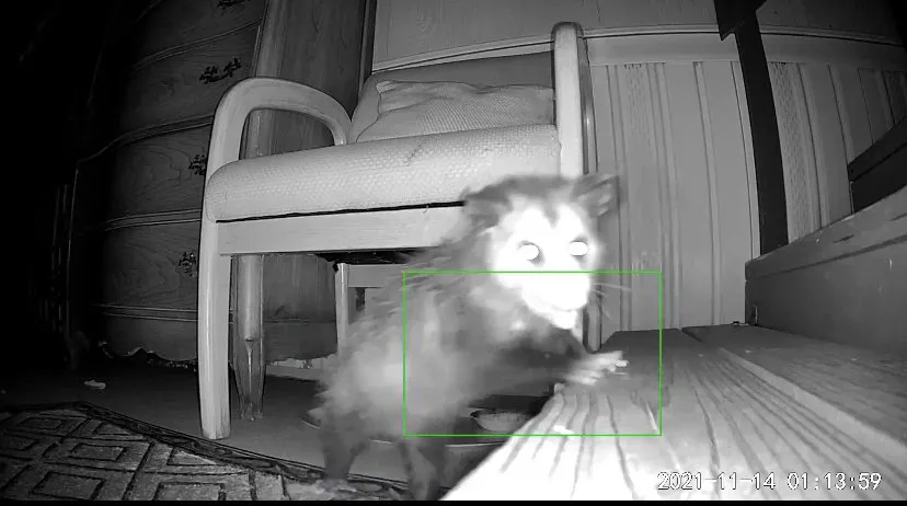 Slide of Logan’s 911 Handyman Service