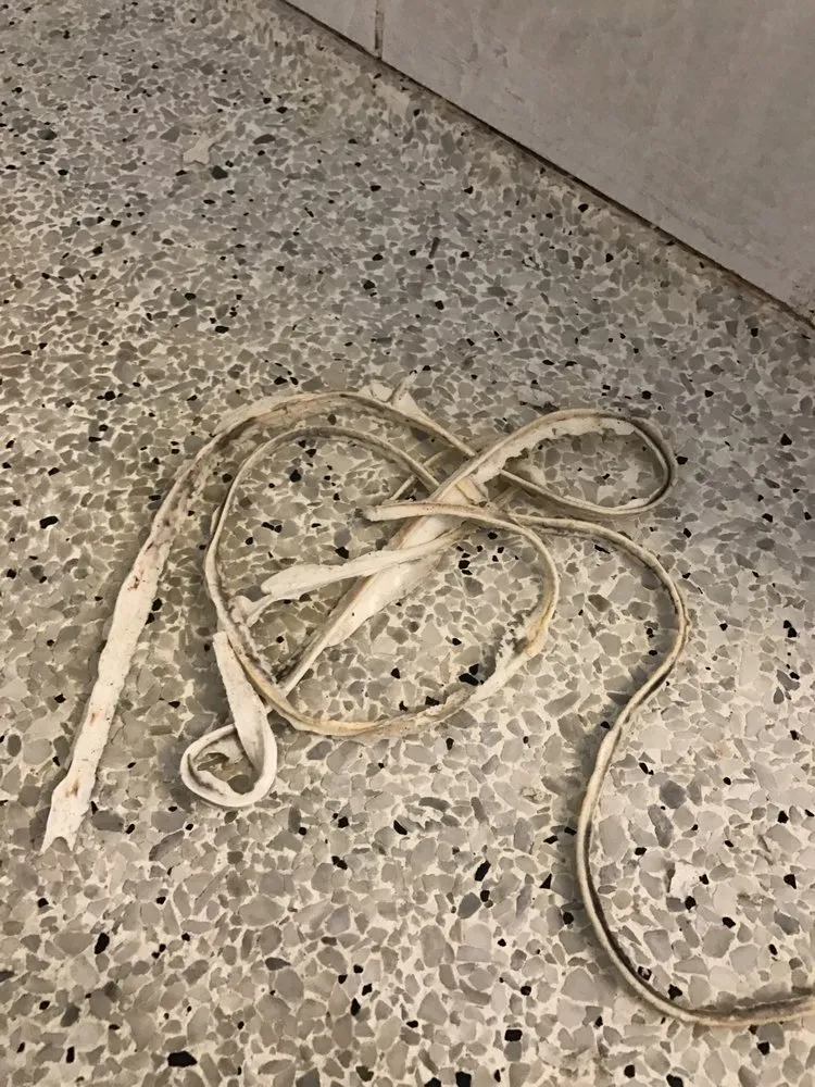 Slide of Logan’s 911 Handyman Service