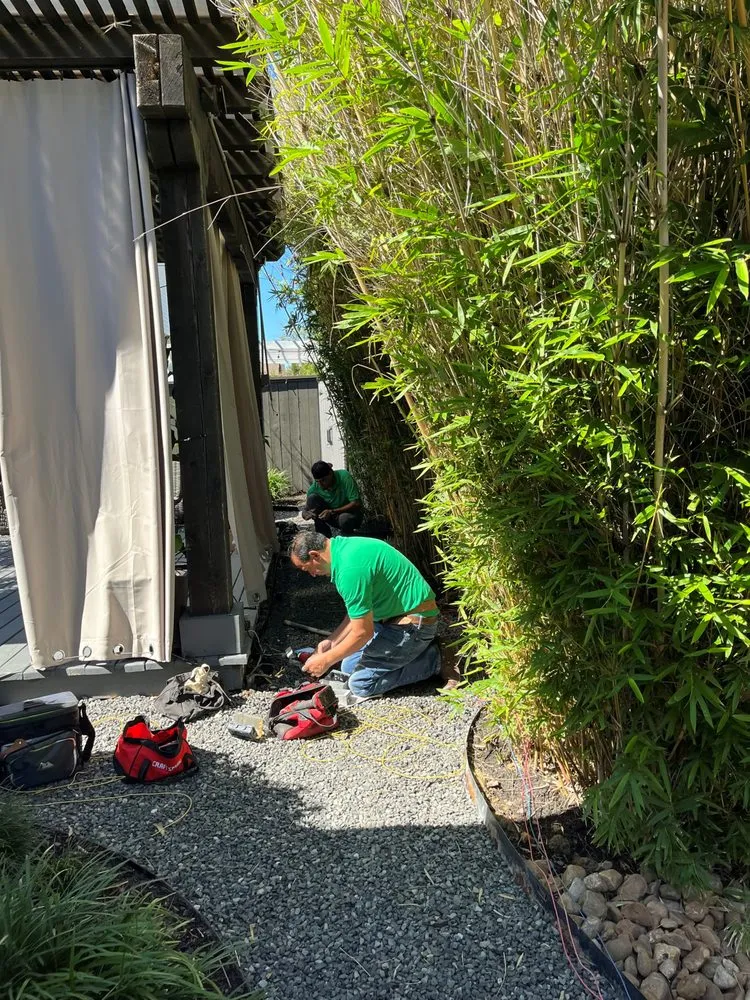 Slide of Logo Electrical