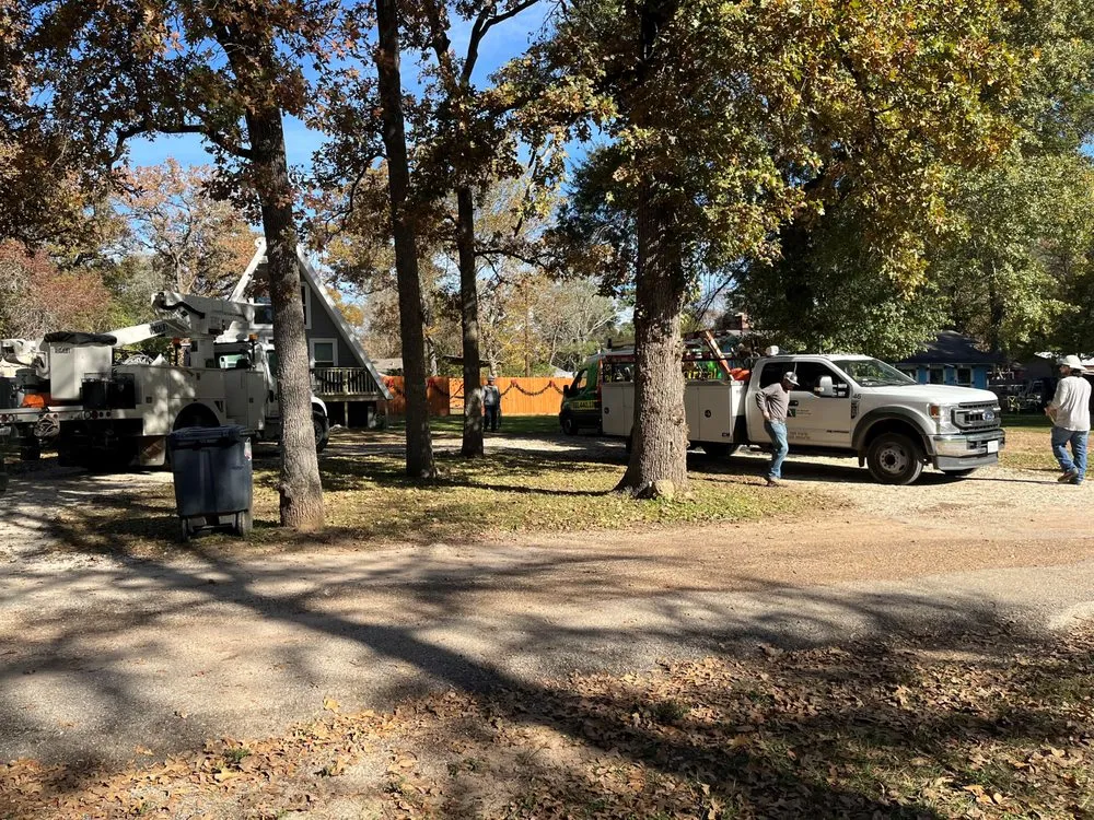 Slide of Logo Electrical