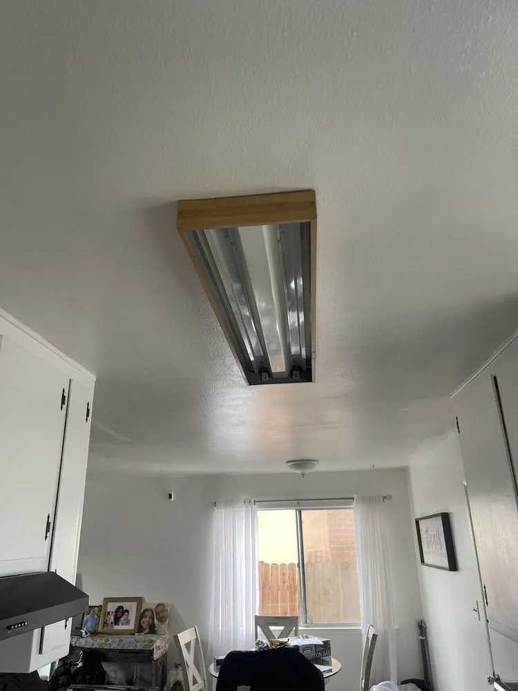 Slide of Lokal Lights