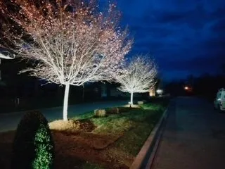 Reliable circuit breaker repair experts serving , - Long Walker Electrical Services