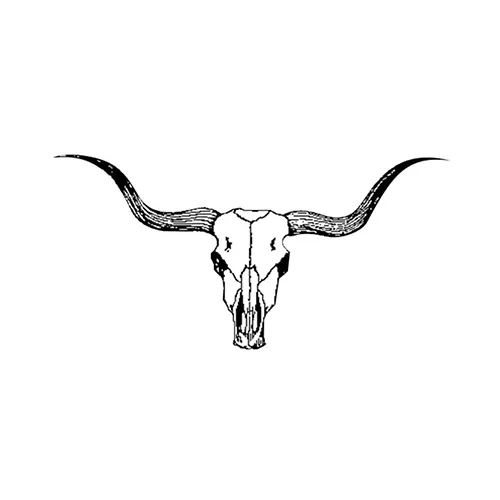 Slide of Longhorn Electric