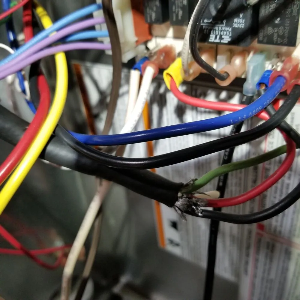 Slide of Los Gatos Electric