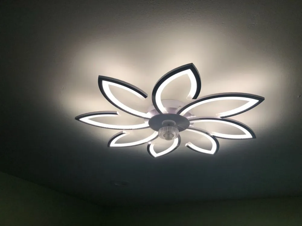 Slide of Lots Electric