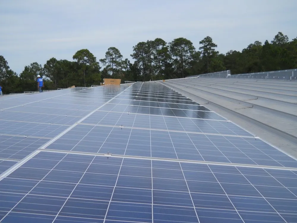 Expert panel upgrade service in ,  - Lotus Electric