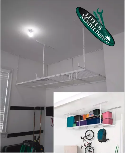 Slide of Lotus Maintenance