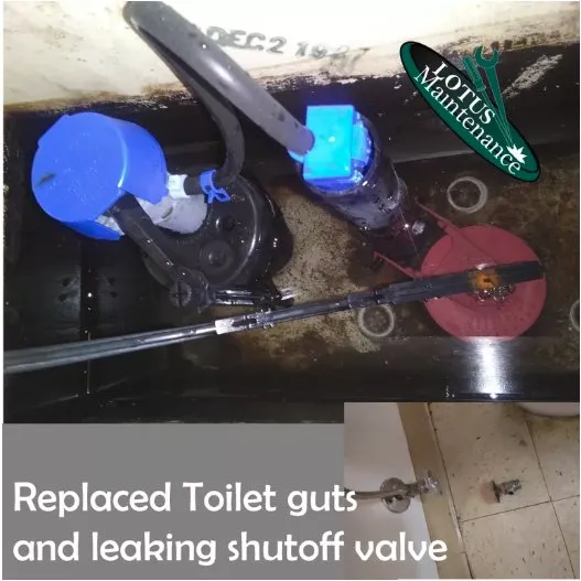 Slide of Lotus Maintenance