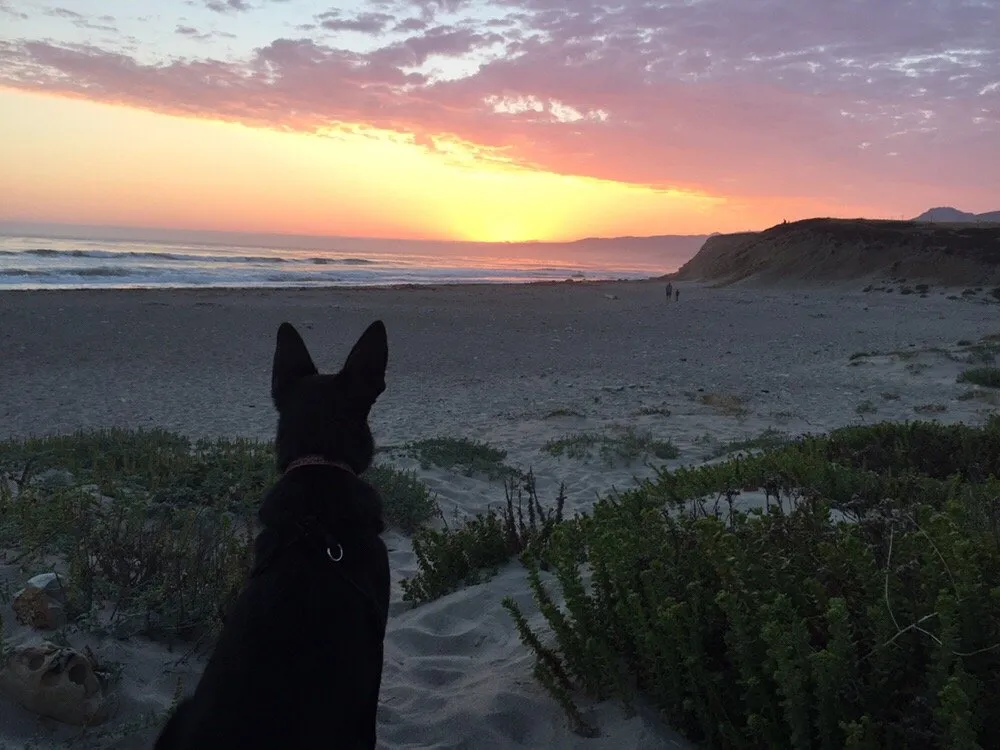 Slide of Lou Kantor Electric