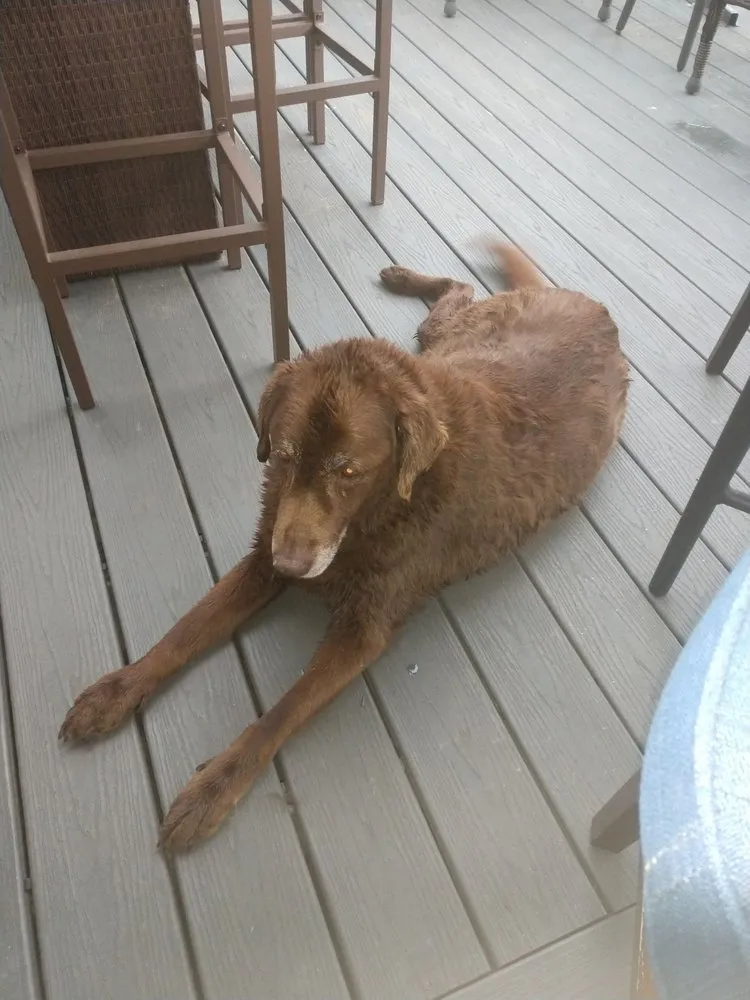 Emergency electrician providing wiring installation in , 