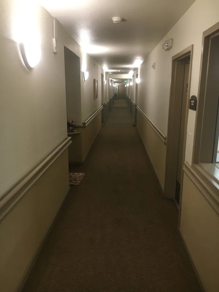 Slide of Lovelight Solutions