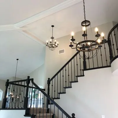 Lower Newport Bay Electric Logo