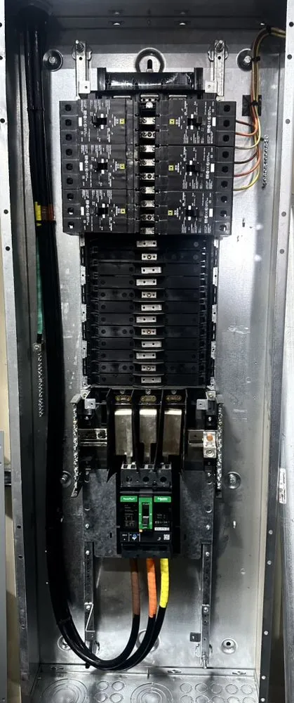 Slide of Loza’s Electric