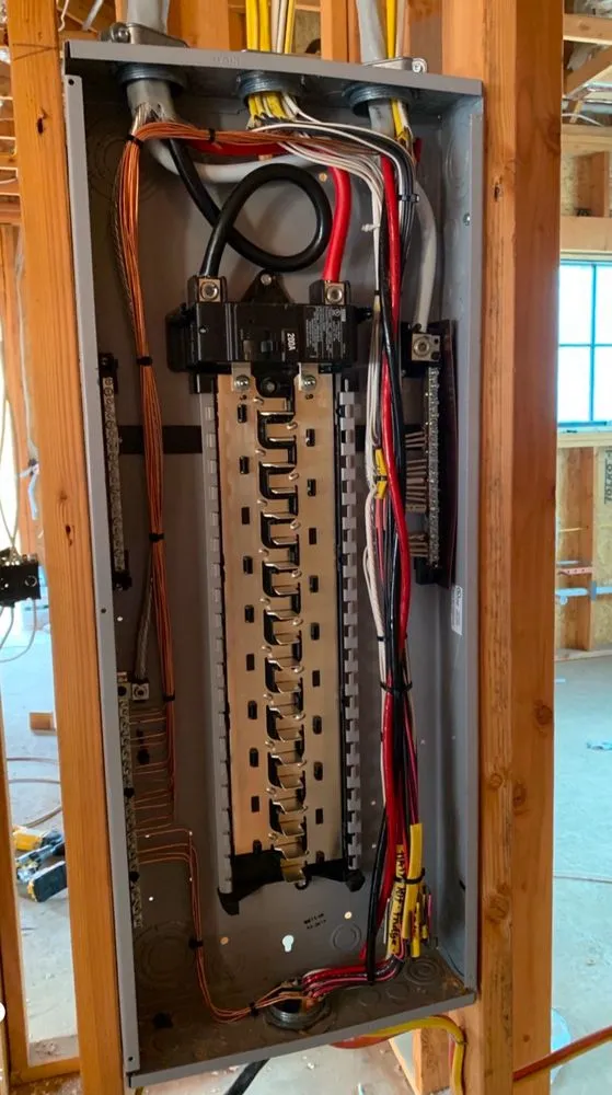 Slide of Loza’s Electric