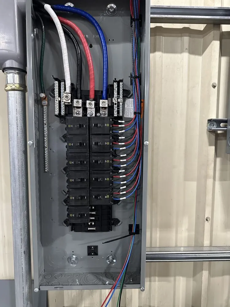 Slide of Loza’s Electric