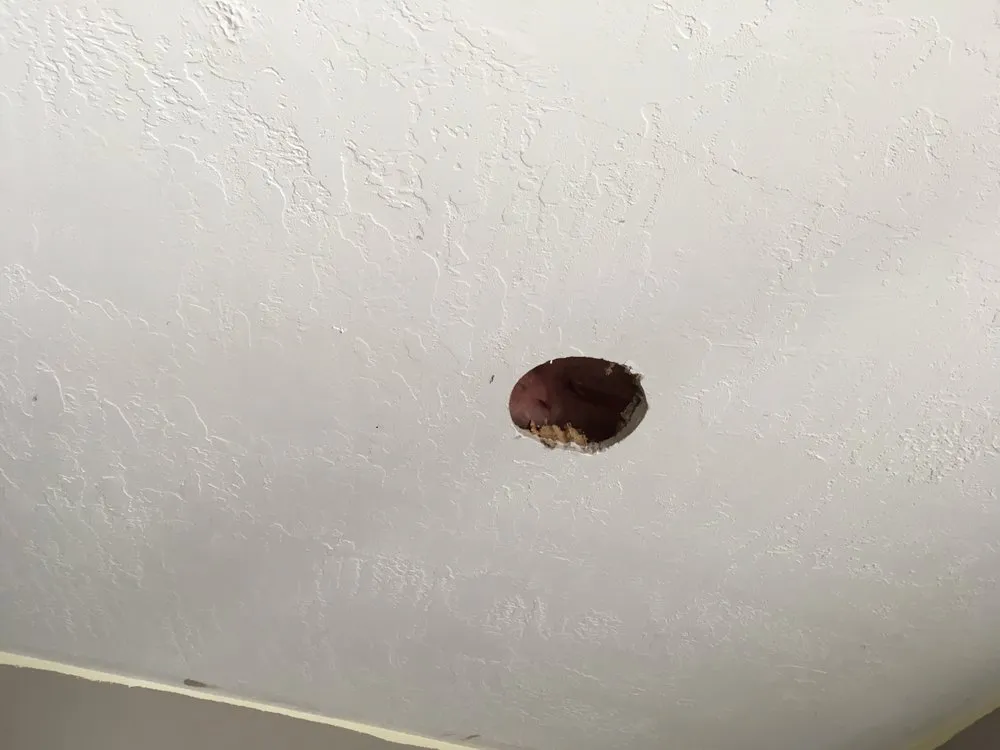 Slide of LP Electric