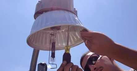 Slide of LP3 Electric