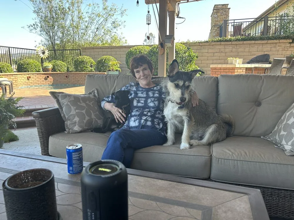 Slide of LRB Electric