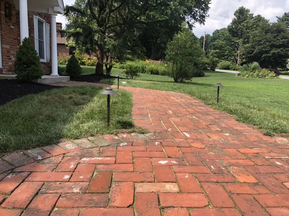 Slide of Luciano Electric