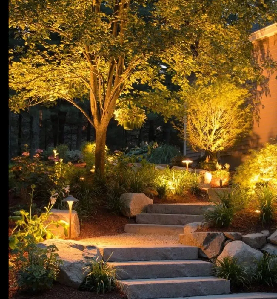 Slide of Luer Electricals