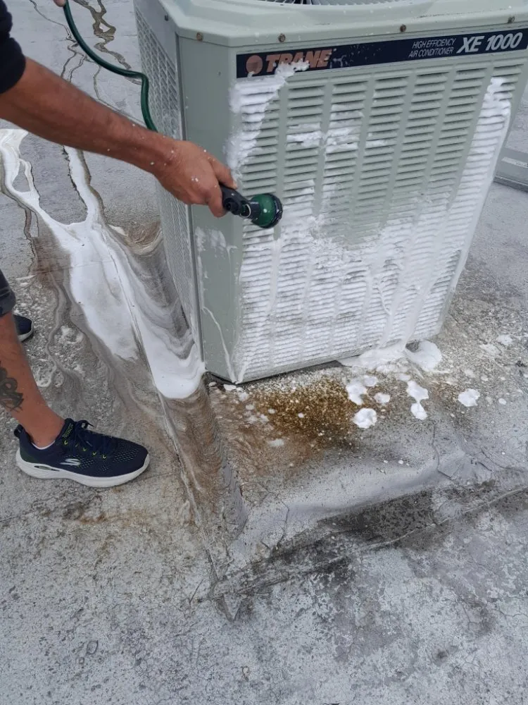 Reliable outlet and switch repair experts serving ,  - Luis Handy man services