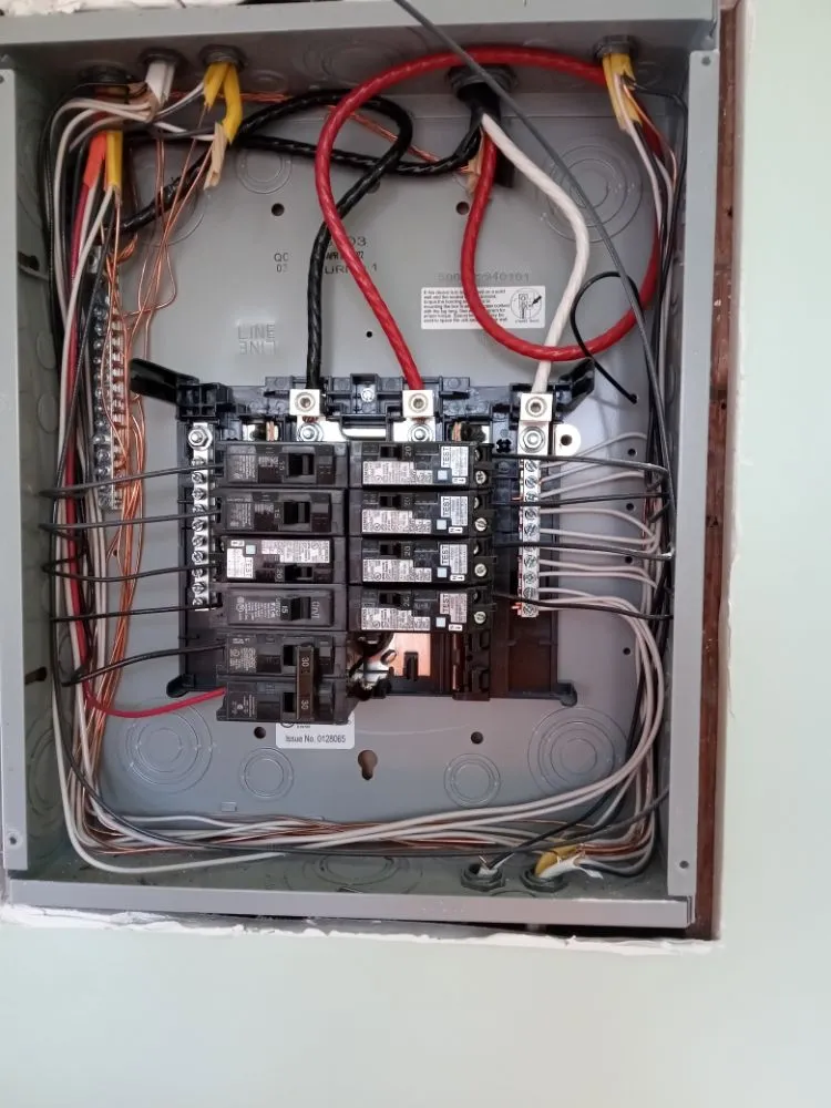 Slide of Luis The Electrician