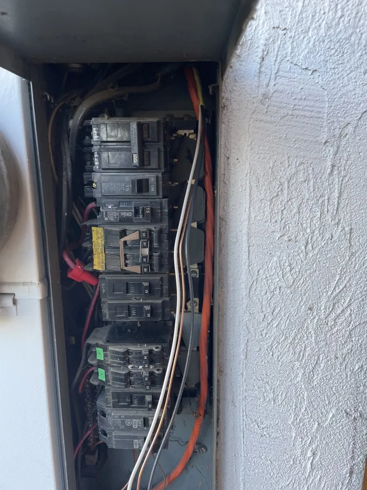 Slide of Luminex Electric