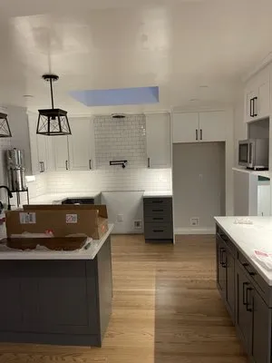 Luminex Electric Logo