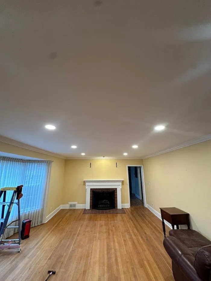 Slide of Luminous Electric