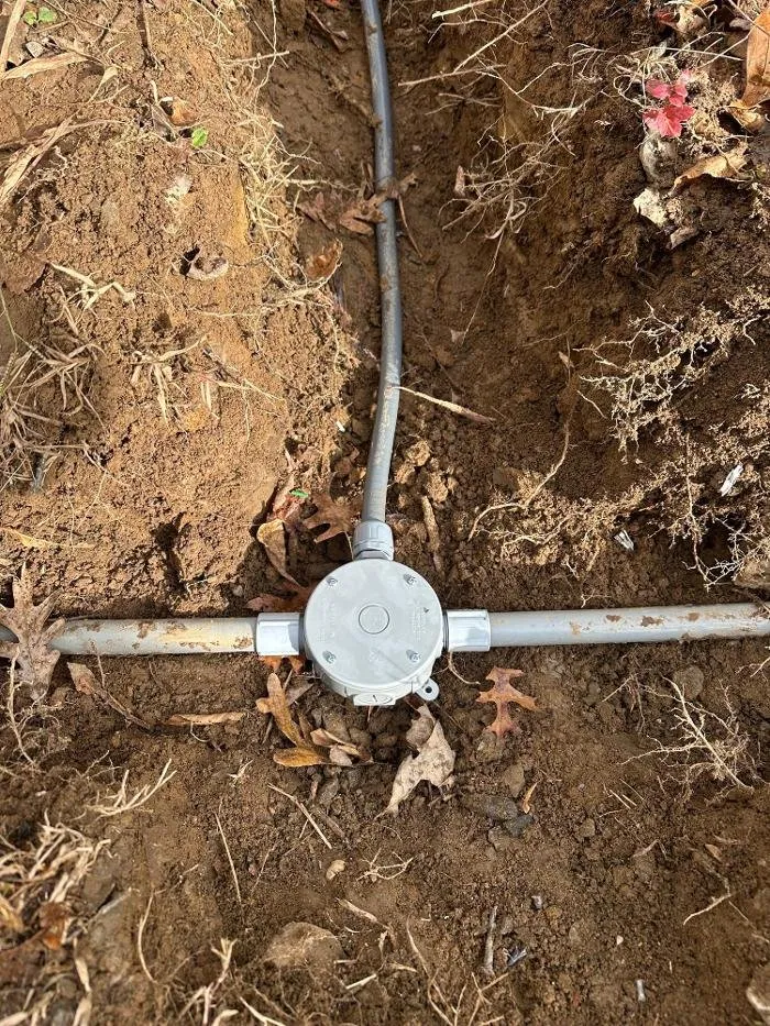 Slide of Luminous Electric