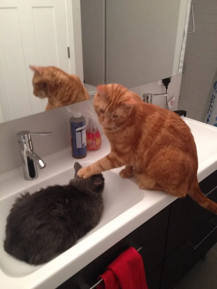 Slide of Lux Electric