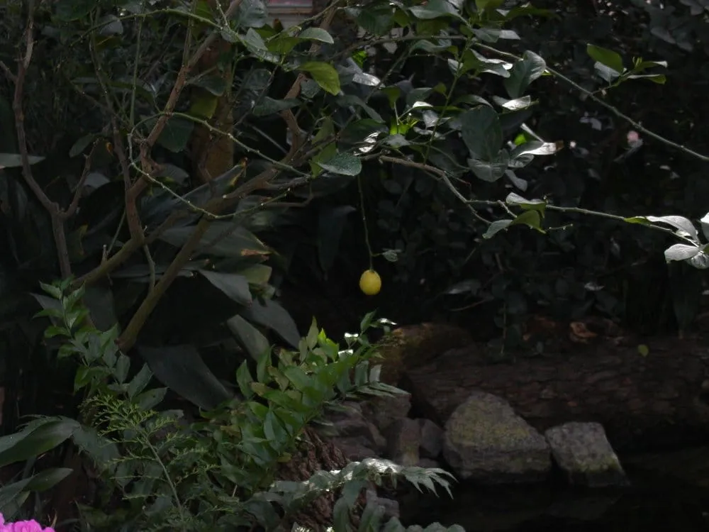 Slide of Luxury Design & Home Improvement