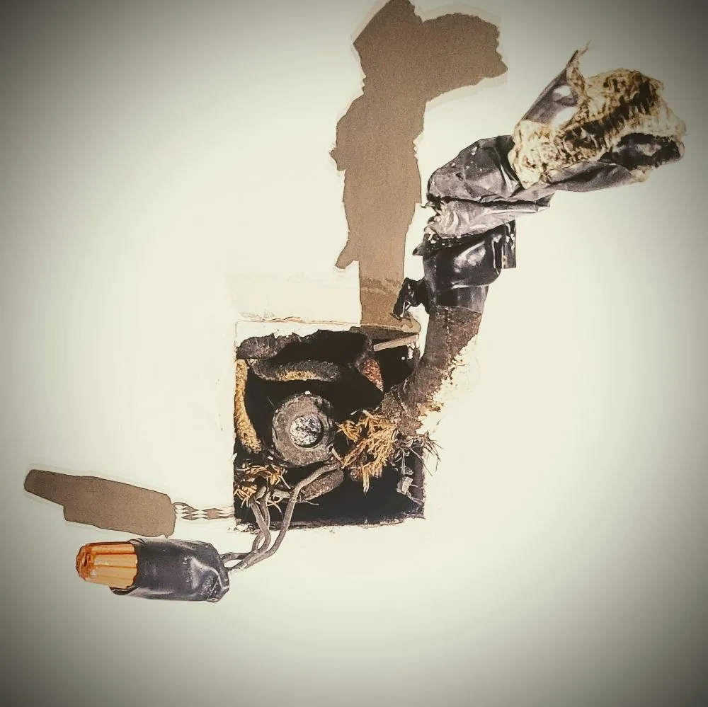 Slide of LYCAS Electric